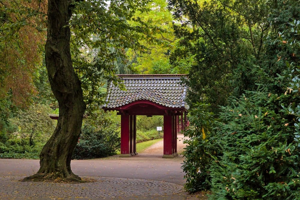 Japanischer Garten in Leverkusen